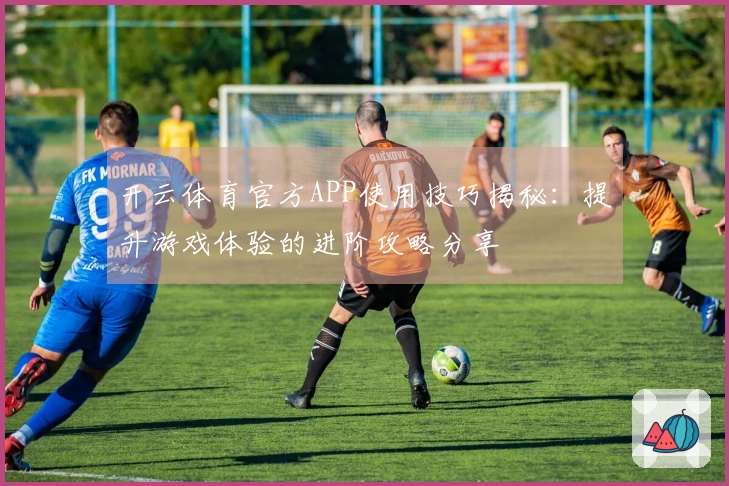 开云体育官方APP使用技巧揭秘：提升游戏体验的进阶攻略分享