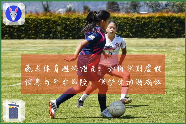 赢点体育避坑指南：如何识别虚假信息与平台风险，保护你的游戏体验