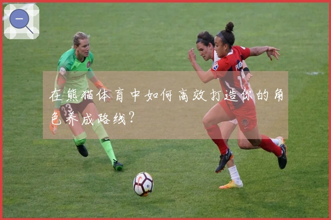 在熊猫体育中如何高效打造你的角色养成路线？